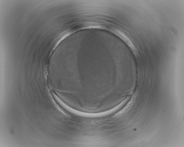 X0000115061377200911161559