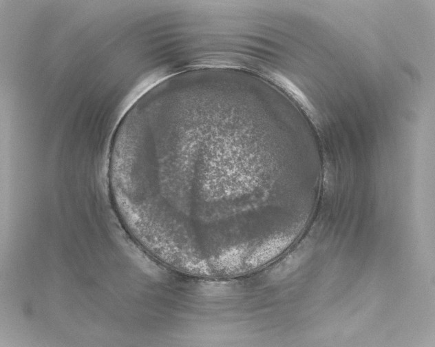 X0000115061378200911161559