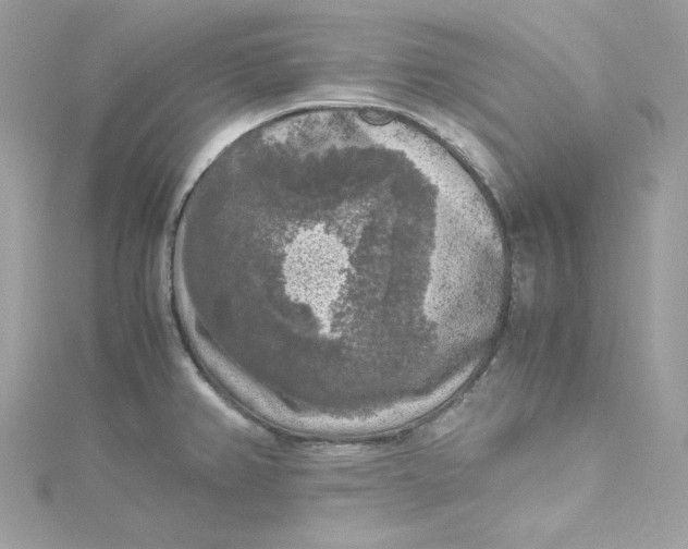 X0000115061382200911161559