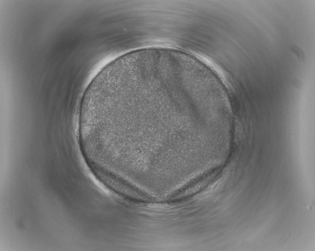 X0000115061383200911161559