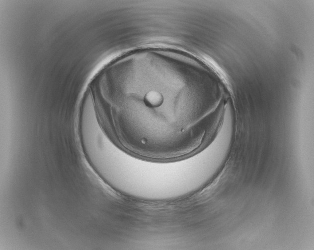 X0000115061384200911161559