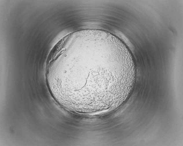 X0000115061386200911161559