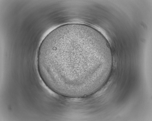 X0000115061387200911161559