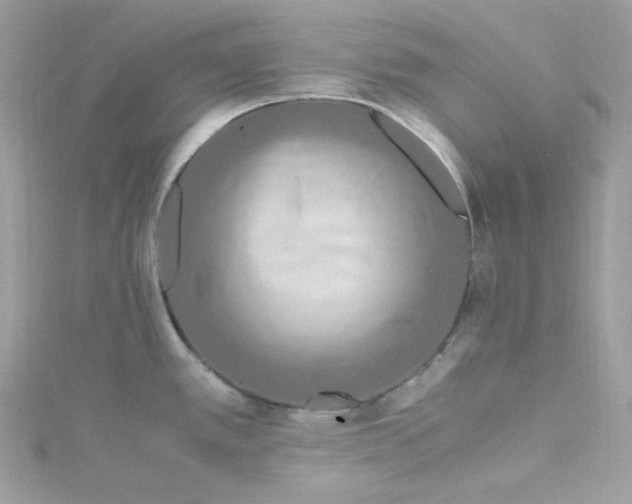 X0000115061389200911161559