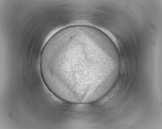 X0000115061390200911161559