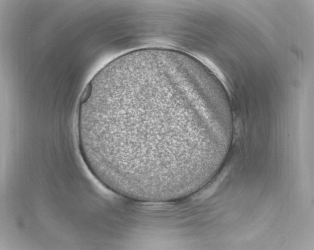 X0000115061391200911161559