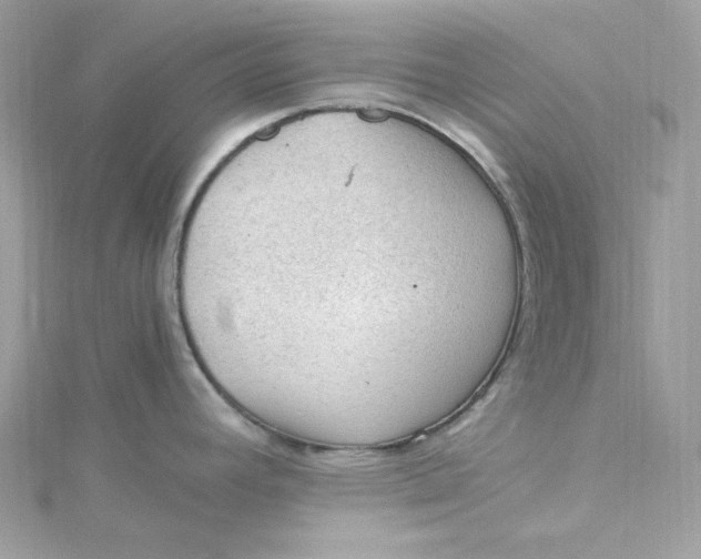 X0000115061392200911161559