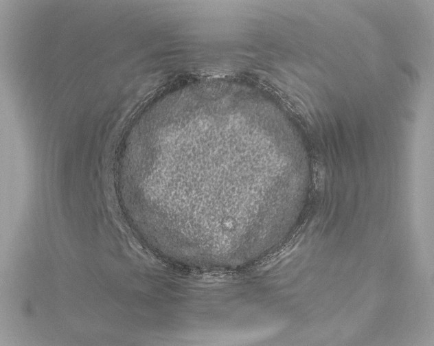 X0000115061393200911161558