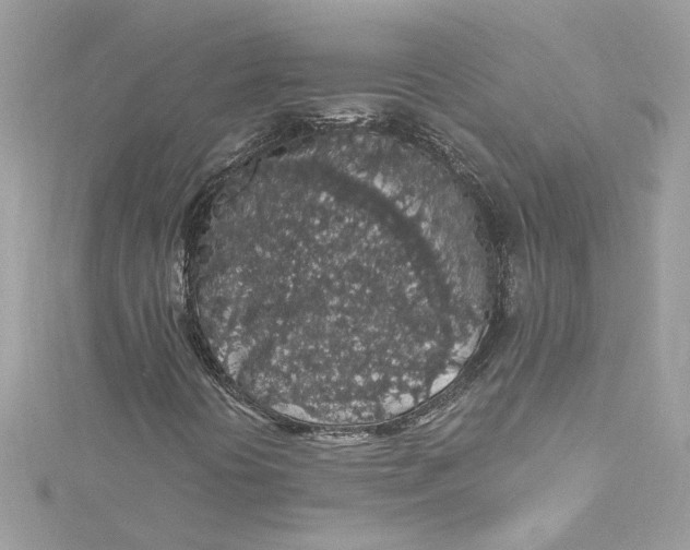 X0000115061394200911161558