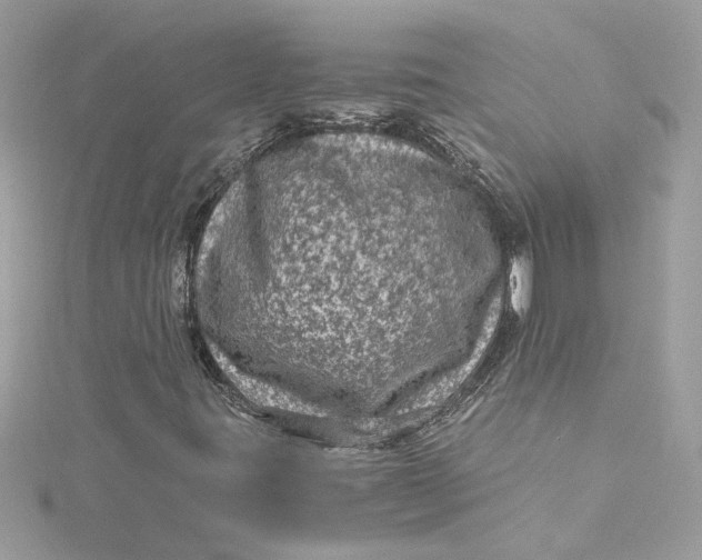 X0000115061395200911161558