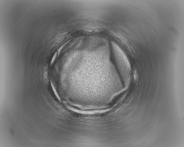 X0000115061396200911161558