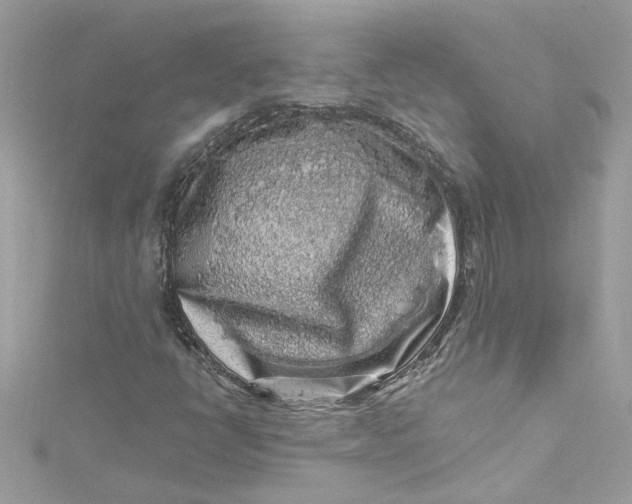 X0000115061398200911161559