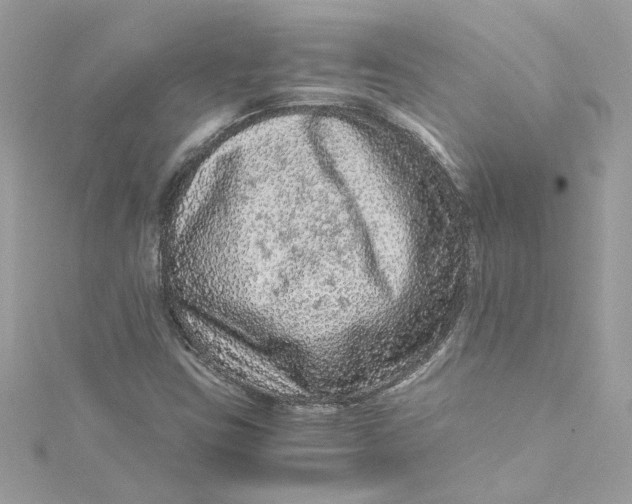 X0000115061403200911161559