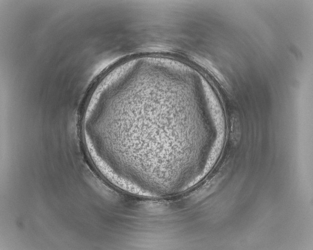 X0000115061404200911161559