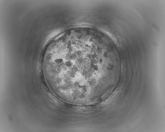 X0000115061405200911161559