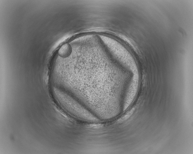 X0000115061406200911161559