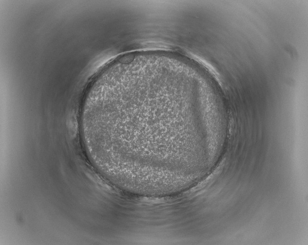 X0000115061407200911161559