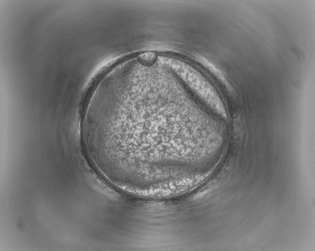 X0000115061408200911161559