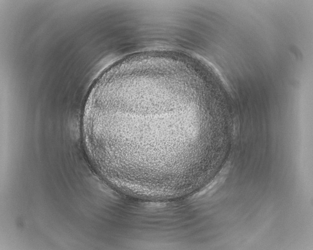 X0000115061409200911161559