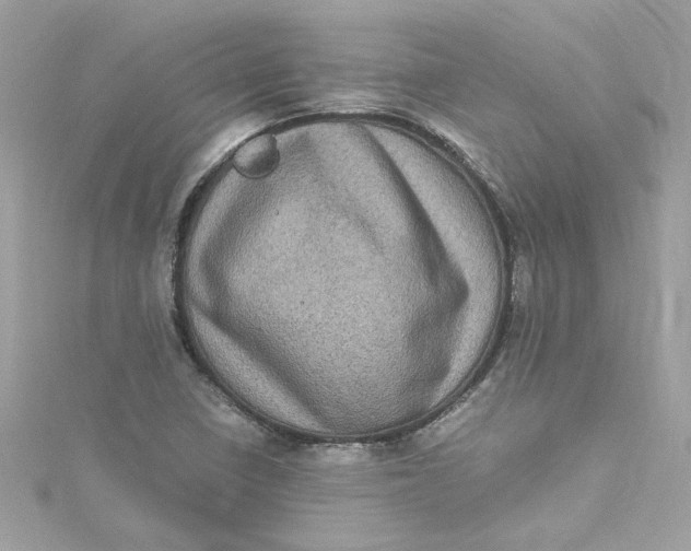 X0000115061410200911161559