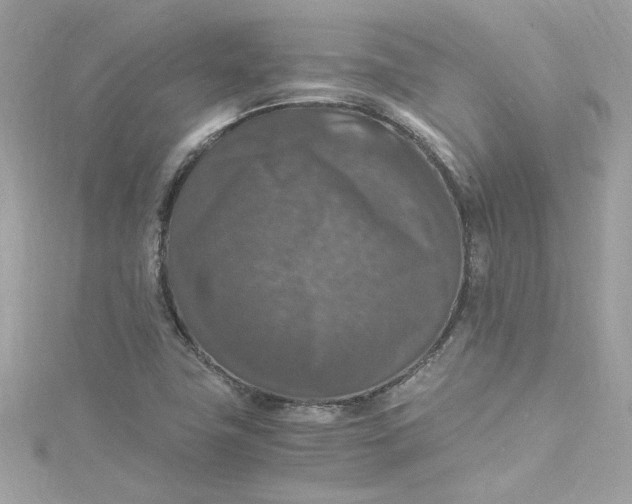 X0000115061411200911161559