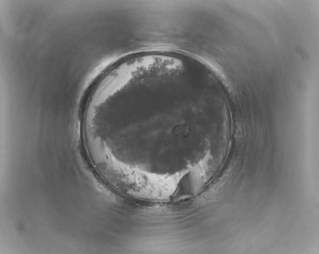 X0000115061414200911161559