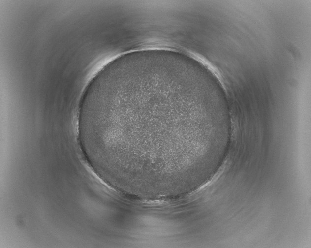 X0000115061415200911161559