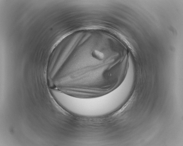 X0000115061417200911161559