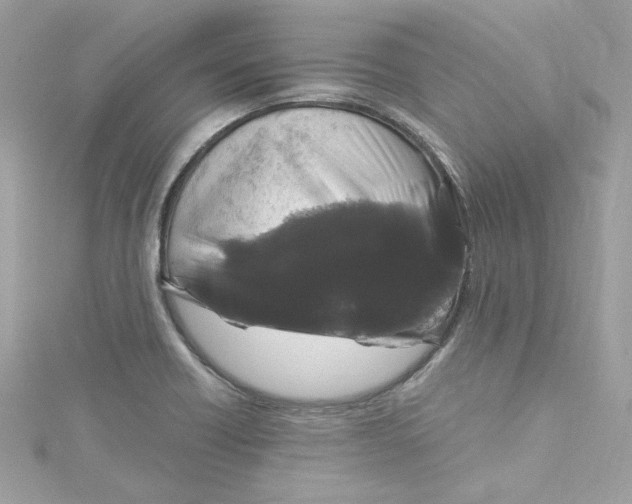 X0000115061418200911161559