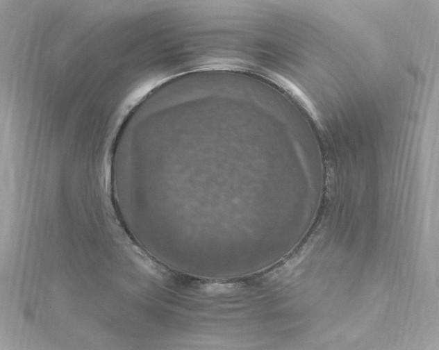 X0000115061419200911161559