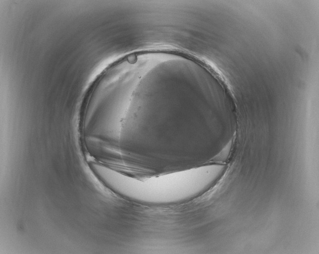 X0000115061422200911161559