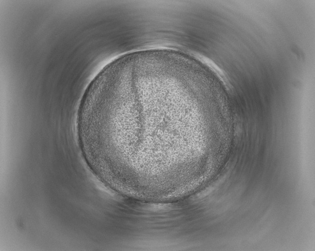 X0000115061423200911161559