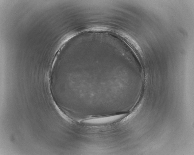 X0000115061425200911161559