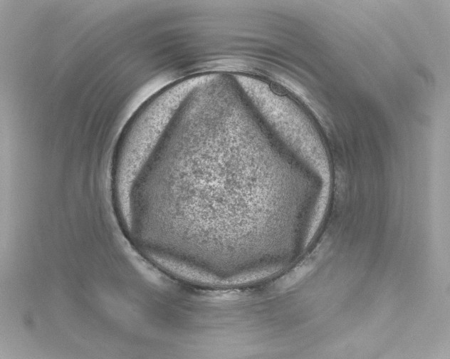 X0000115061426200911161559