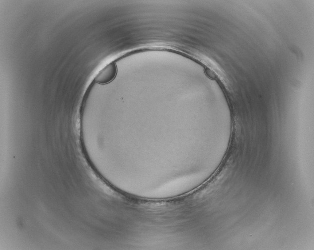 X0000115061428200911161559