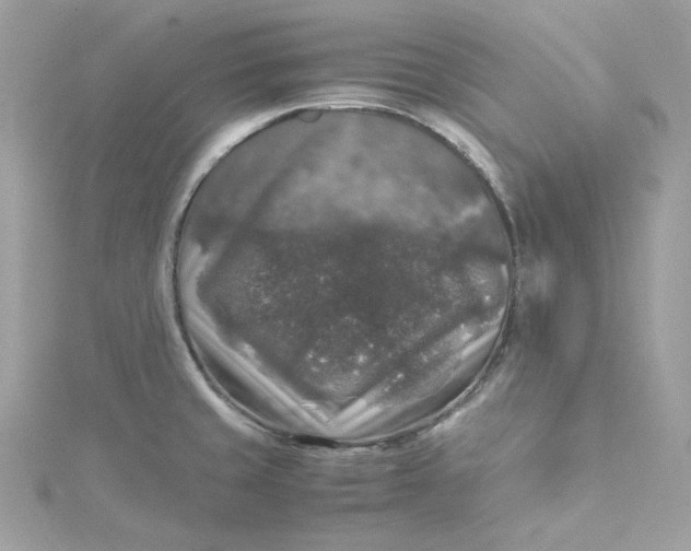 X0000115061429200911161559