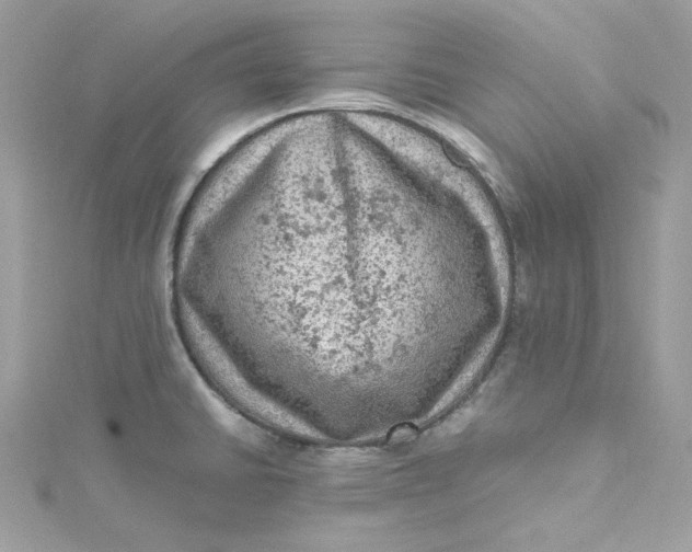 X0000115061430200911161559