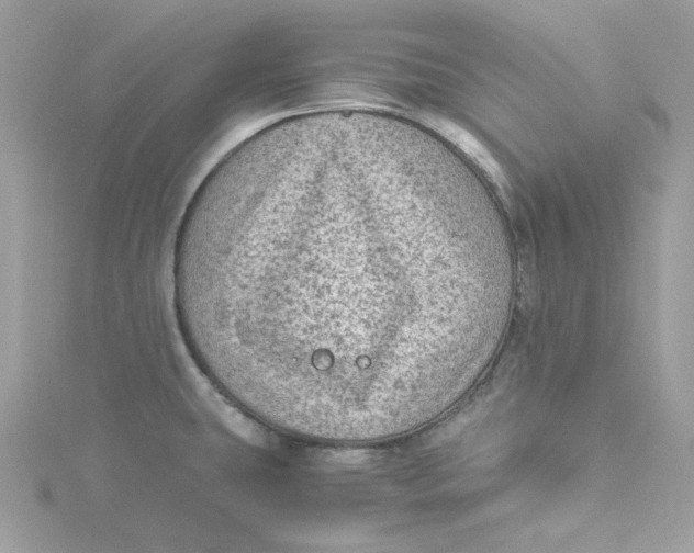 X0000115061431200911161559