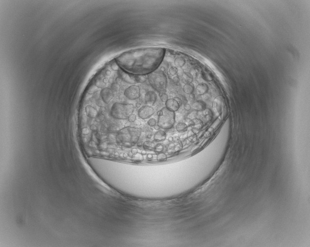 X0000115061432200911161559