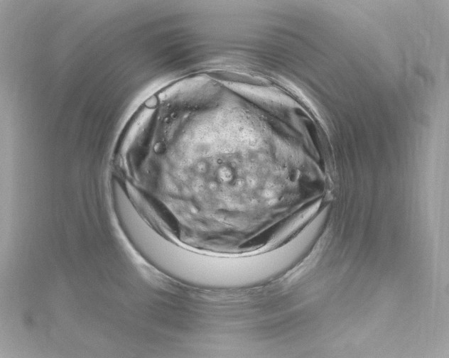 X0000115061434200911161559