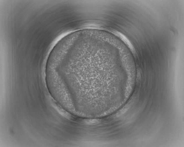 X0000115061435200911161559