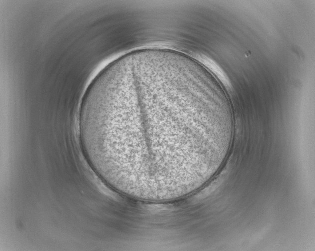 X0000115061436200911161559