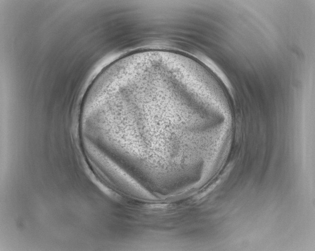 X0000115061437200911161559