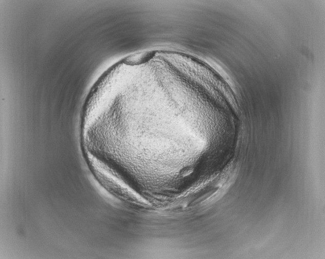 X0000115061438200911161559