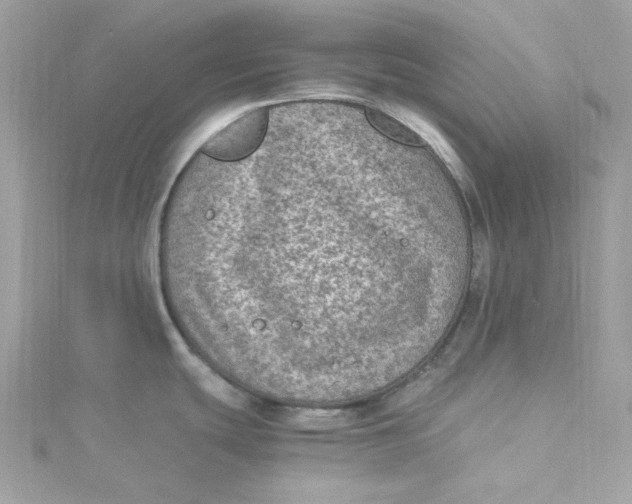 X0000115061439200911161559