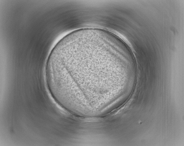 X0000115061440200911161559