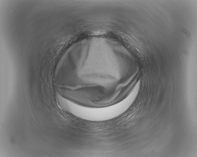 X0000115061441200911161558