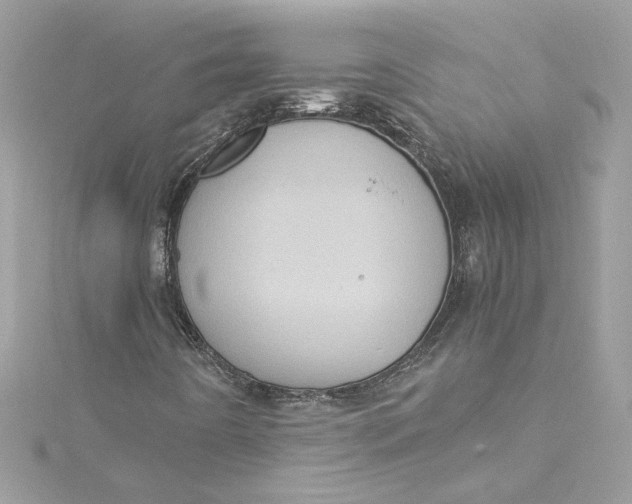 X0000115061442200911161558