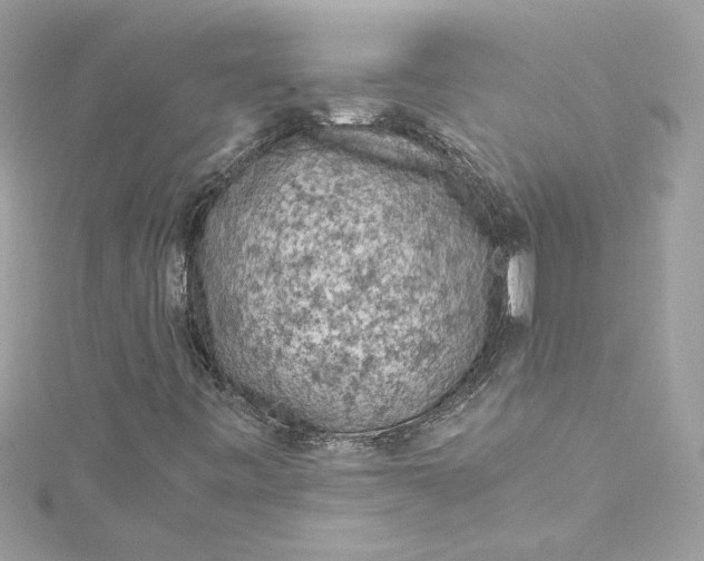 X0000115061443200911161558