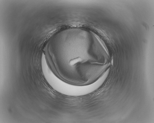 X0000115061444200911161558